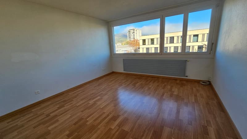 Bellissimo appartamento di 4,5 locali al 1° piano (8)