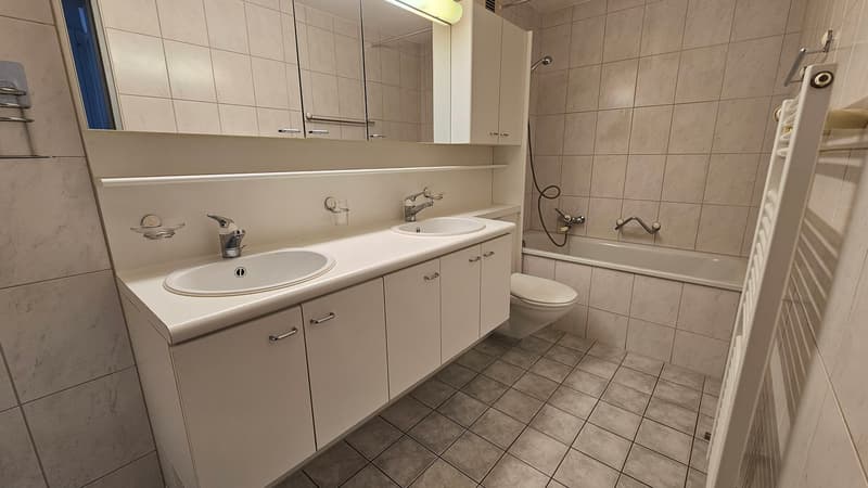 Bellissimo appartamento di 4,5 locali al 1° piano (12)