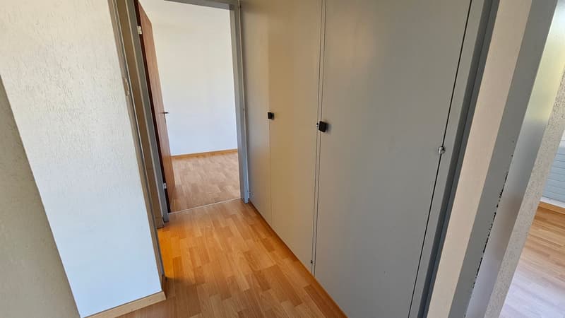 Bellissimo appartamento di 4,5 locali al 1° piano (10)