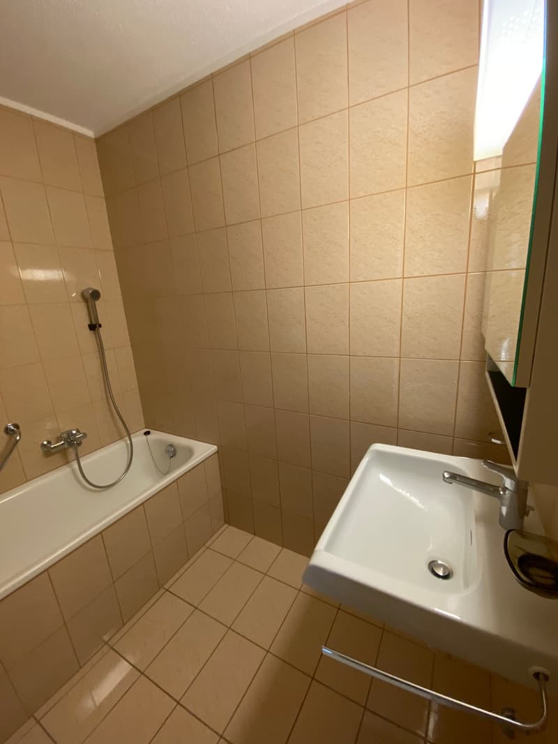 Bel appartement de 4,5 pièces au 6e étage (11)