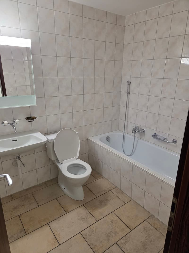 Beautiful 2.5-room apartment on the 2nd floor (12)