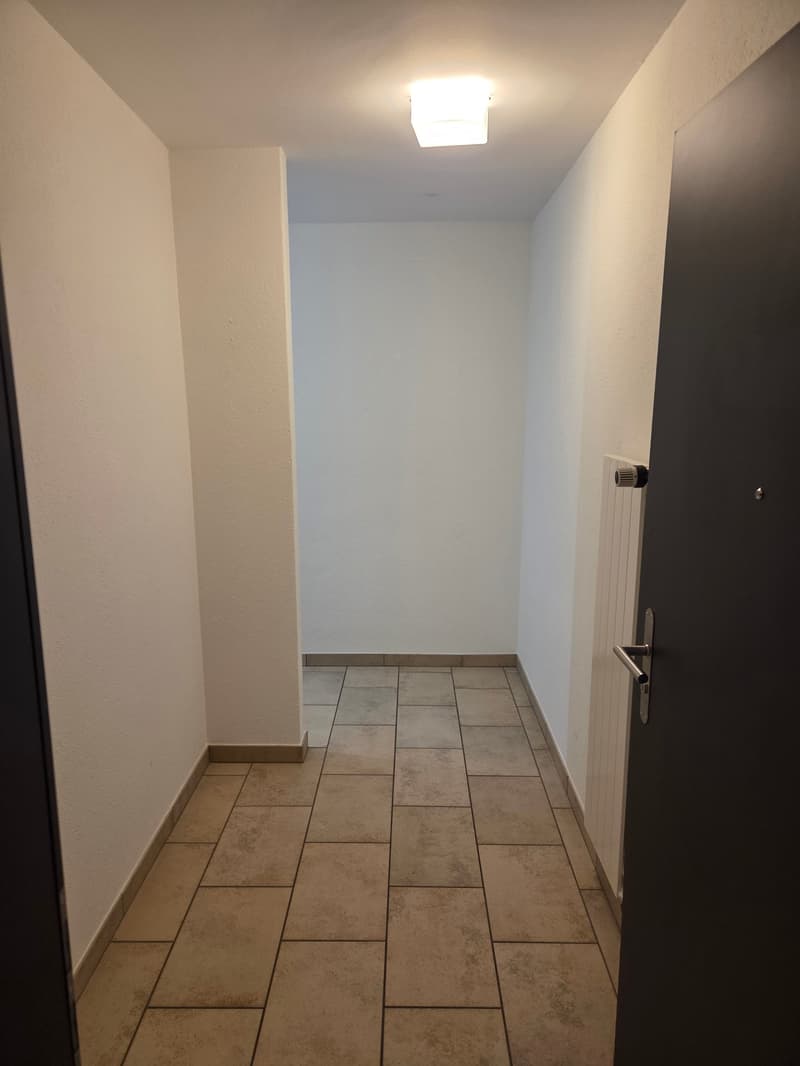 Beautiful 2.5-room apartment on the 2nd floor (8)