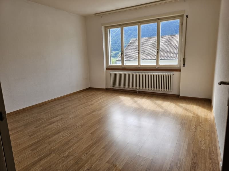empty room, wooden floor, white walls, large window with view of mountains, white radiator