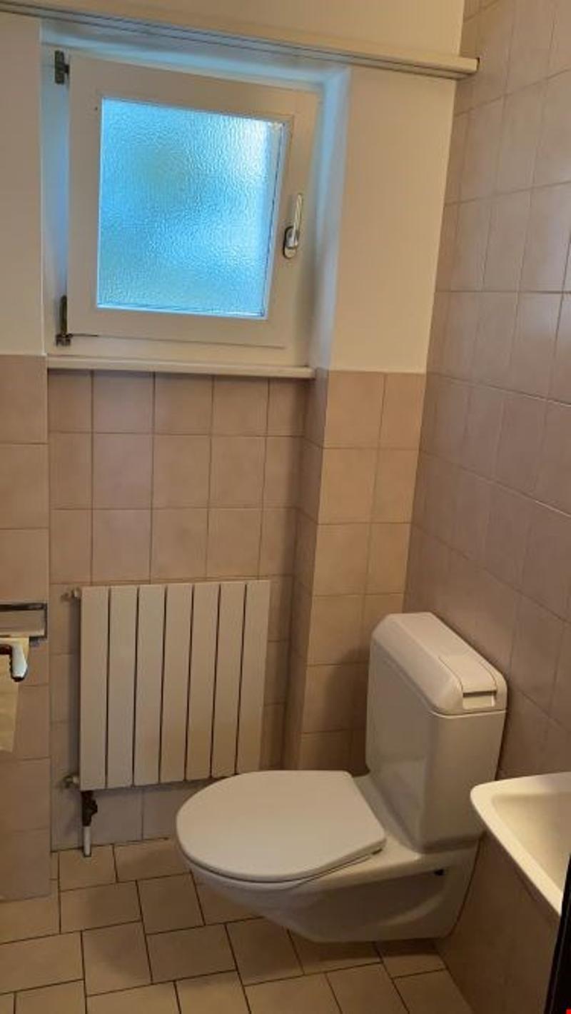 white toilet, radiator, small window, tiled wall, sink