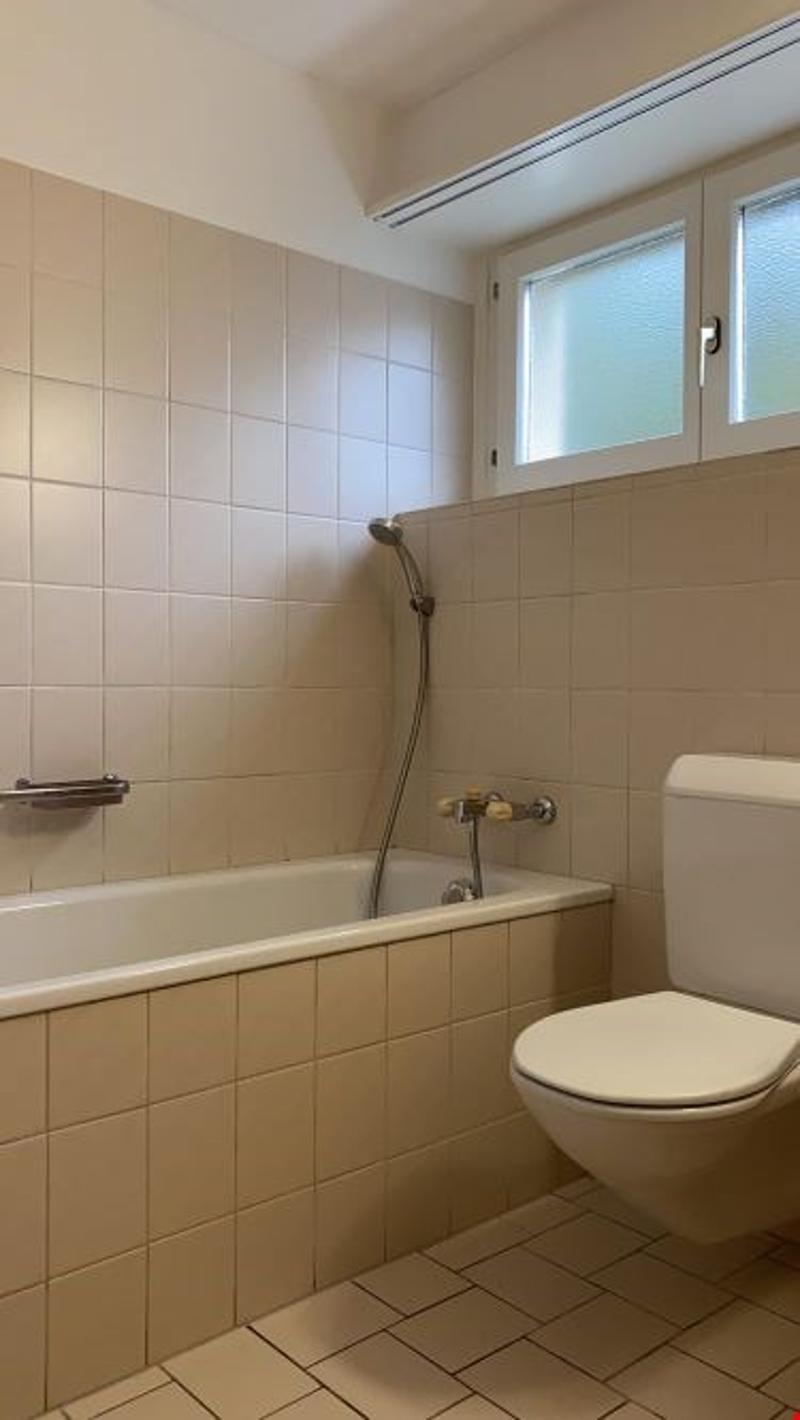 Bathroom with bathtub, toilet, shower, tiled walls and floor, a window.