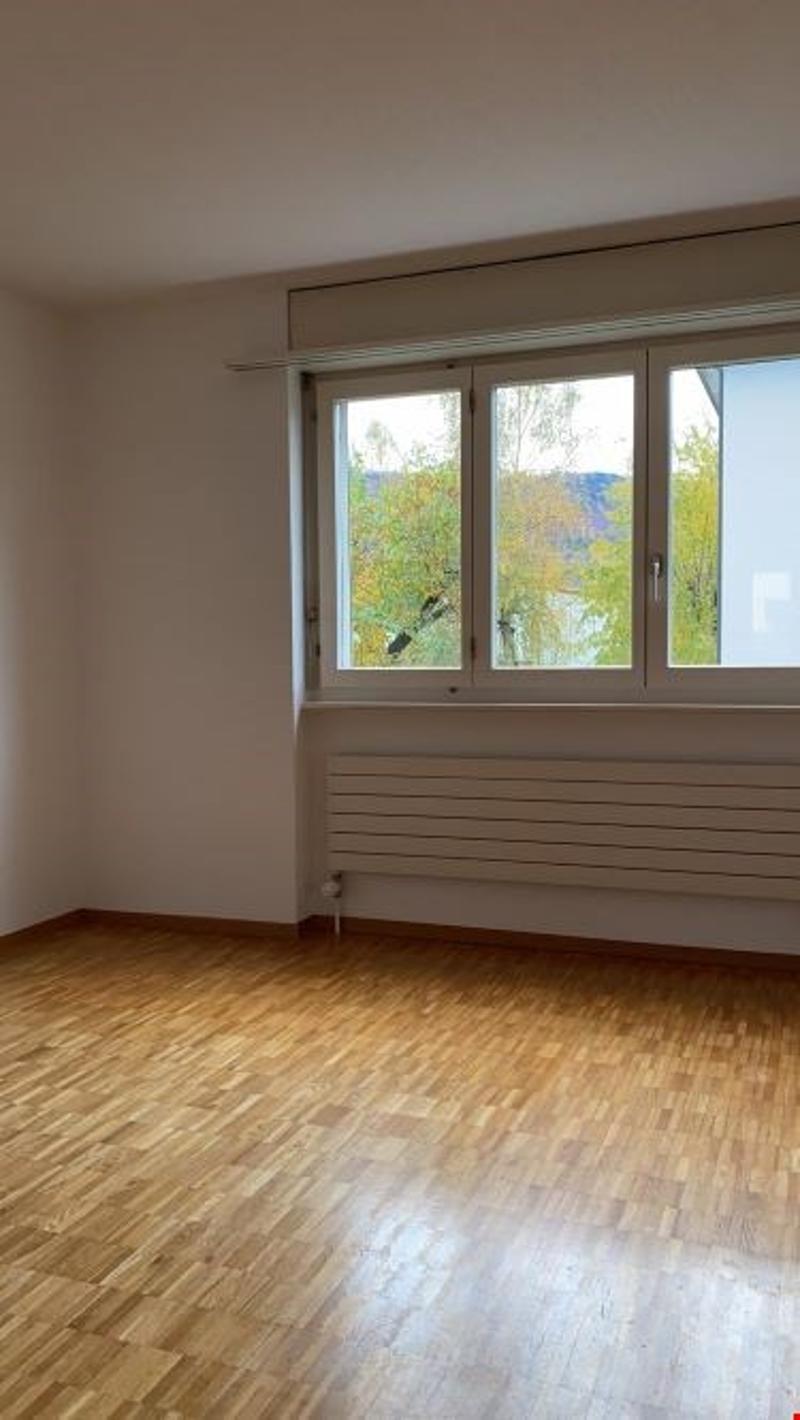 Beautiful 4.5-room apartment on the 1st floor (6)