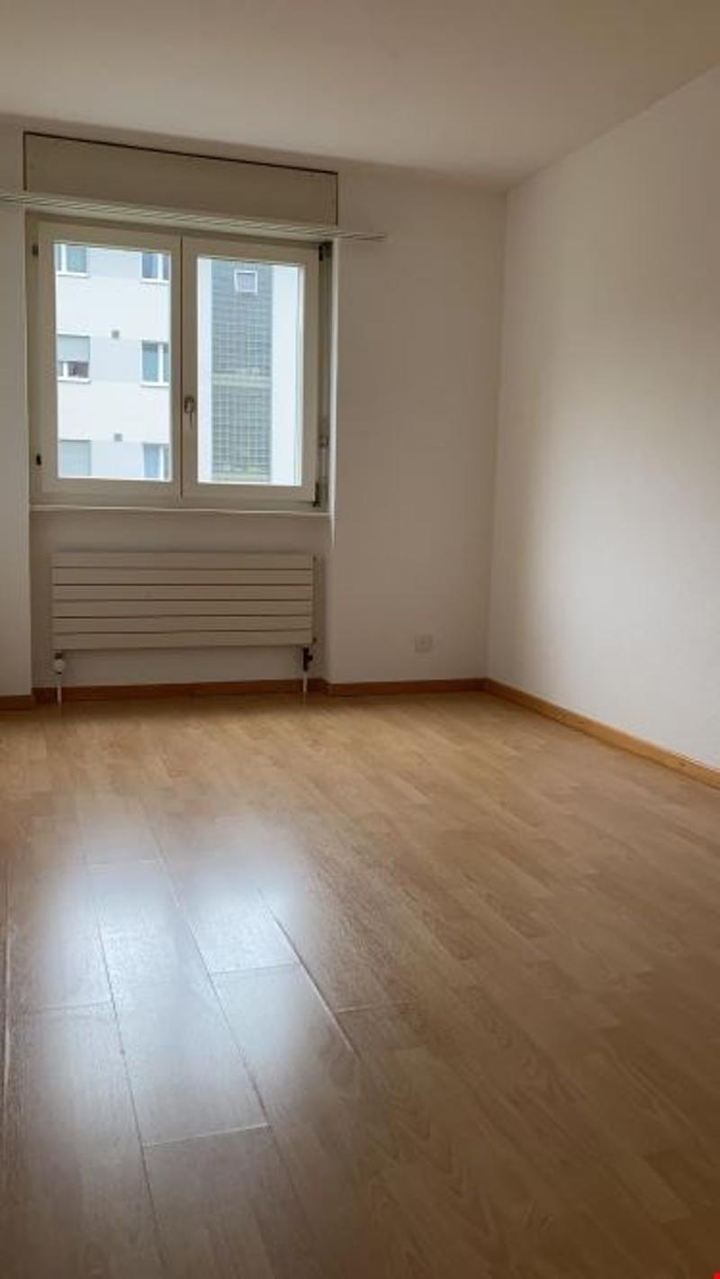 Beautiful 4.5-room apartment on the 1st floor (5)