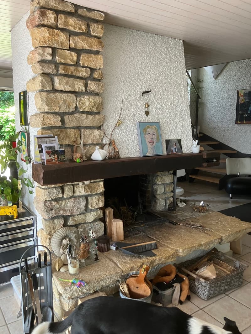 Stone fireplace, built-in decorations, a dog, a staircase in the background