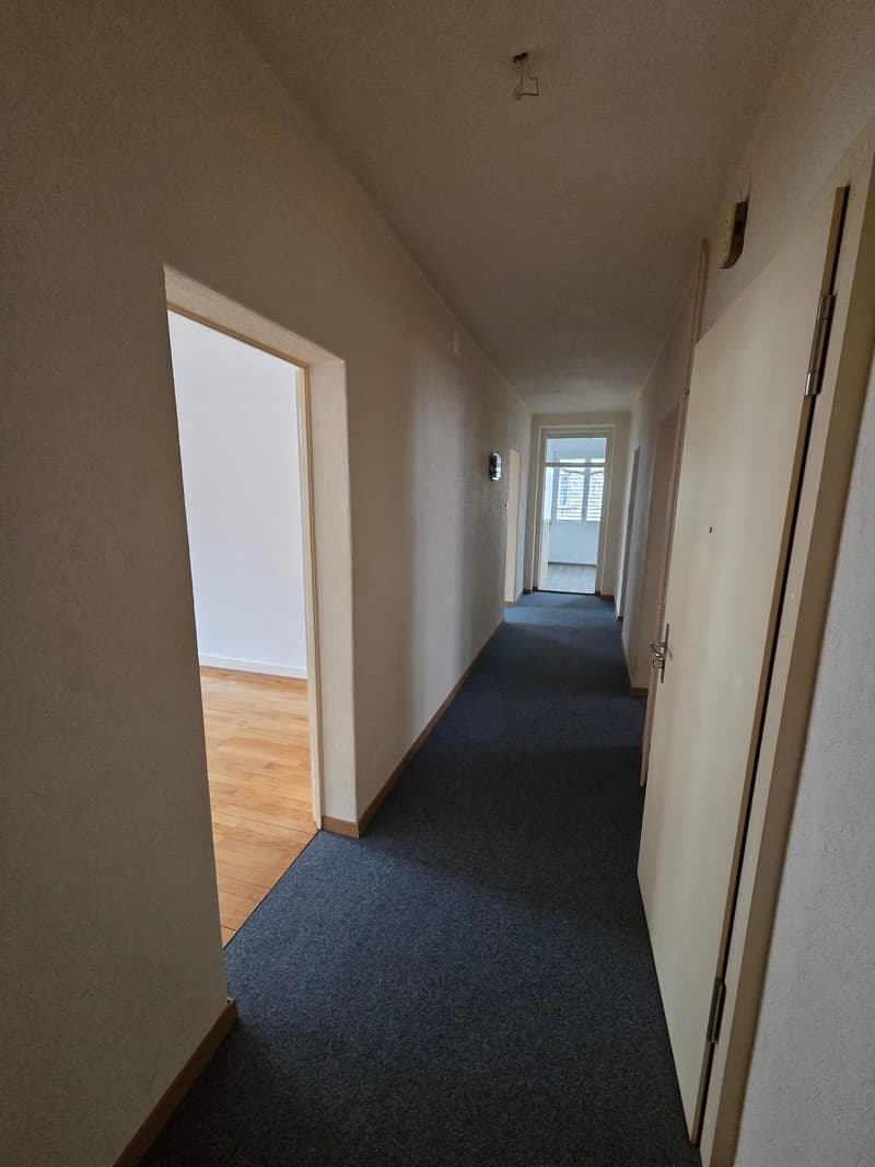 Corridor with white walls, hardwood floor, blue carpet, light fixtures