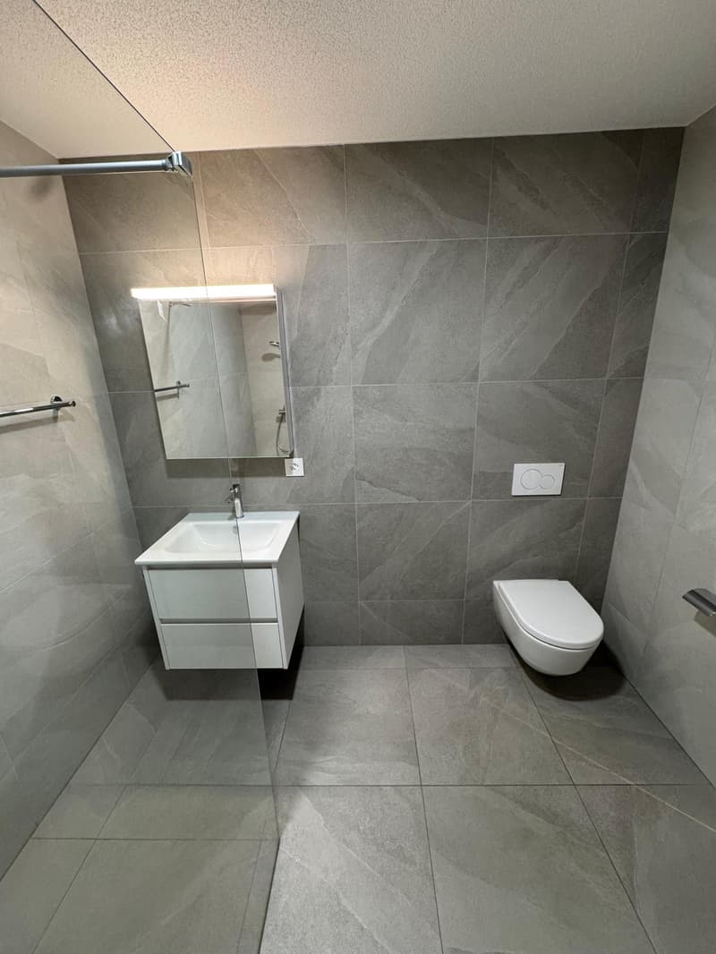 Modern bathroom with grey tiled walls and floors, white sink with cabinet, mirror, and toilet