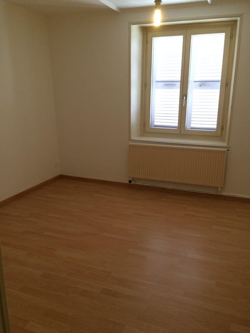 Beautiful 3 1/2 room apartment in the city center (6)