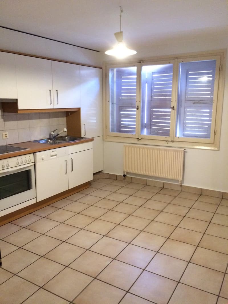 Beautiful 3 1/2 room apartment in the city center (3)