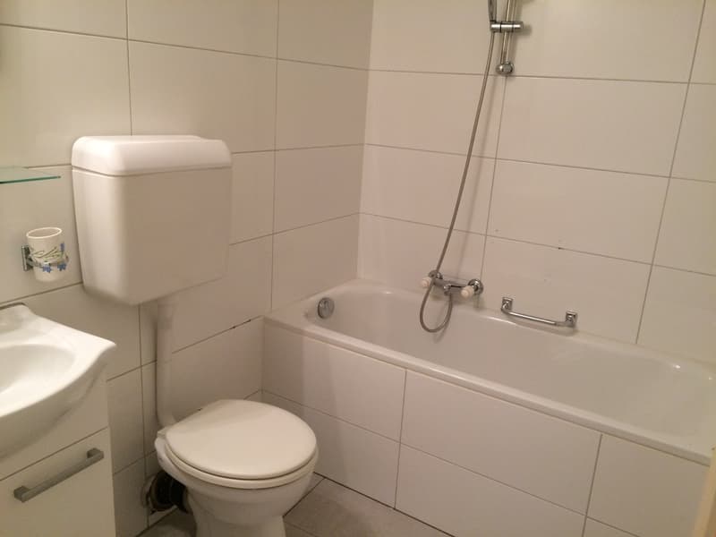 Beautiful 3 1/2 room apartment in the city center (4)