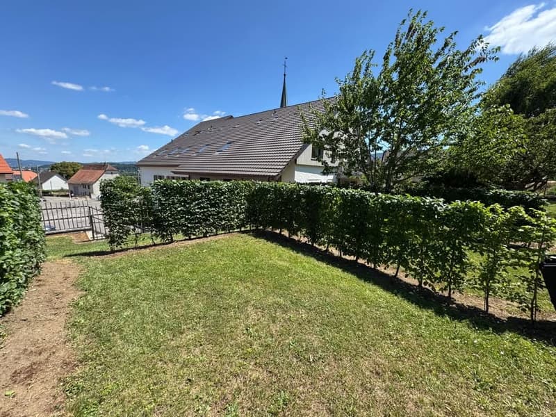 Grass lawn with a few plants and trees. There is a black grill and a fence.