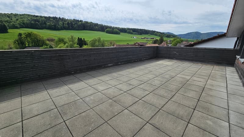 Très bel attique de 3,5 pièces avec grande terrasse (10)