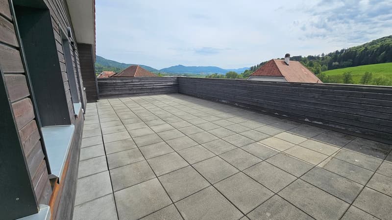 Très bel attique de 3,5 pièces avec grande terrasse (11)