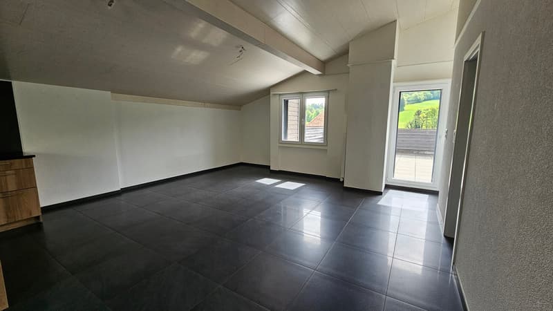 Très bel attique de 3,5 pièces avec grande terrasse (3)