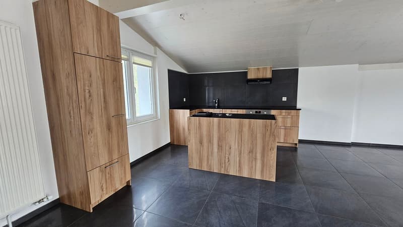 Très bel attique de 3,5 pièces avec grande terrasse (2)