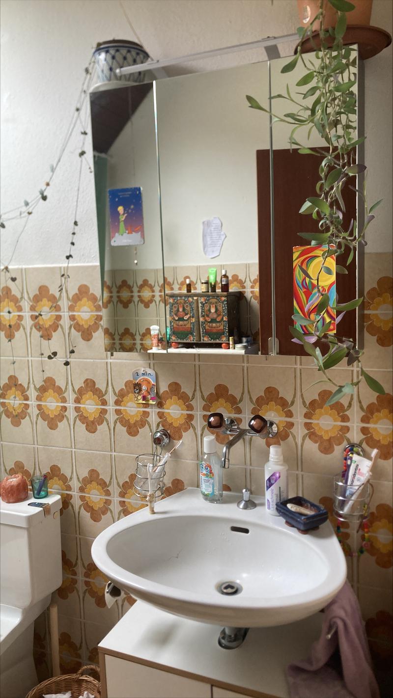 single sink, mirror, flower tiles, plant, toothbrush holder, toilet, cabinet