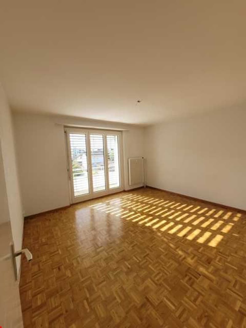 wooden parquet floor, white walls, glass door, sliding glass door, open space