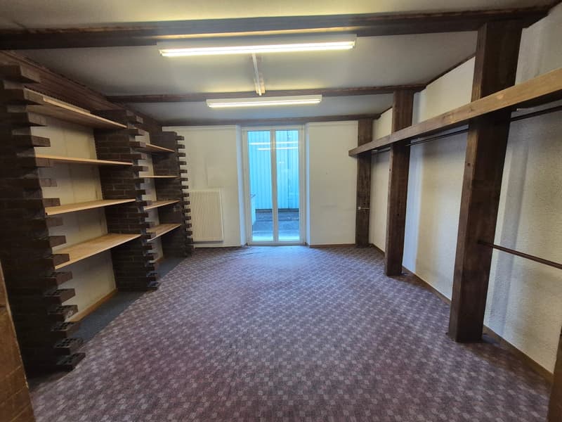 empty room, brick shelves, carpet, two windows, white walls, ceiling lights
