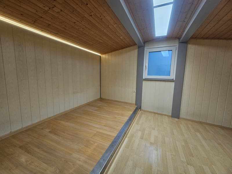 empty room, wooden floor, wooden paneling, skylight window, window, power outlet