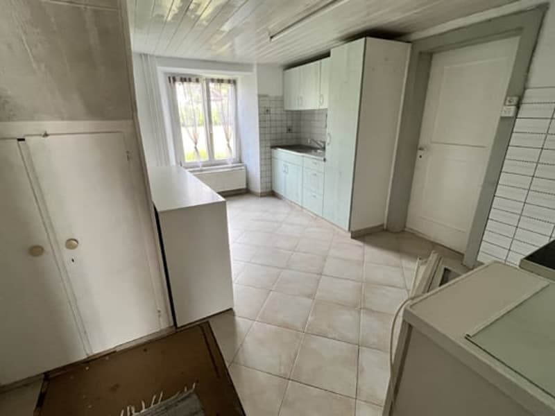 Large building comprising 2 apartments with 5.5 rooms (24)