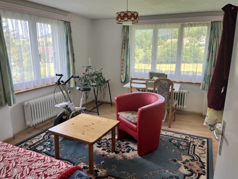 Large building comprising 2 apartments with 5.5 rooms (15)