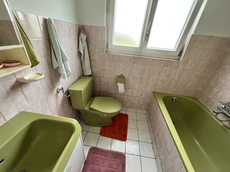 Large building comprising 2 apartments with 5.5 rooms (20)
