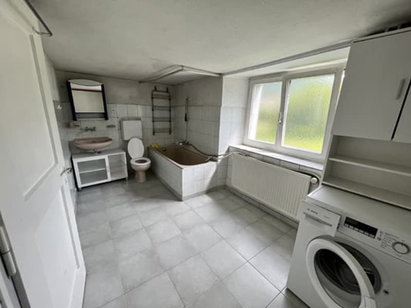 Large building comprising 2 apartments with 5.5 rooms (25)