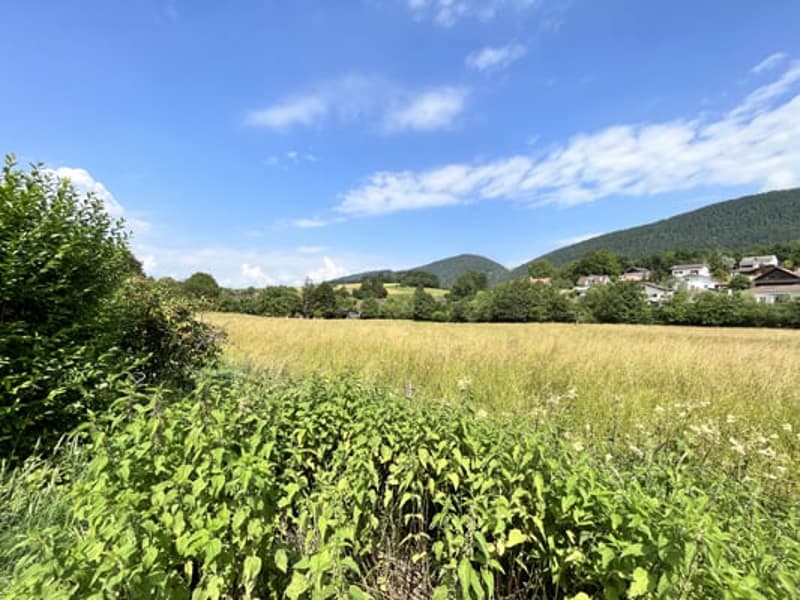 Large building comprising 2 apartments with 5.5 rooms (10)