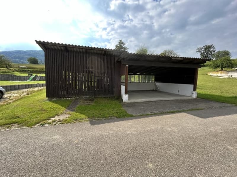Large building comprising 2 apartments with 5.5 rooms (7)