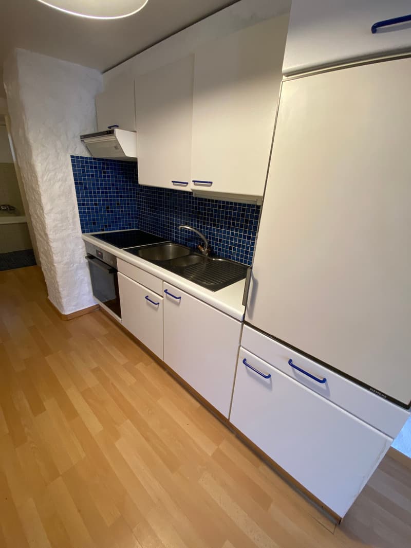 modern kitchen with white cabinets, blue tiles, wooden floor, stainless steel sink, oven, dishwasher