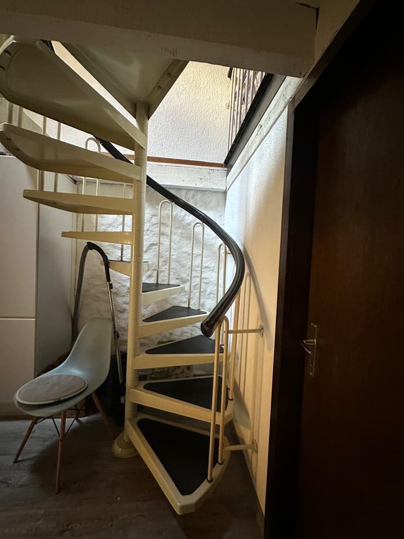 spiral staircase with white handrails and black steps
