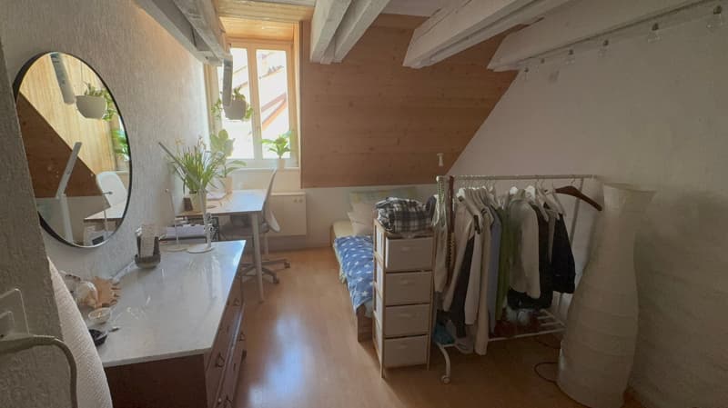 small room with desk, mirror, plants, bed, wardrobe, and clothes rack