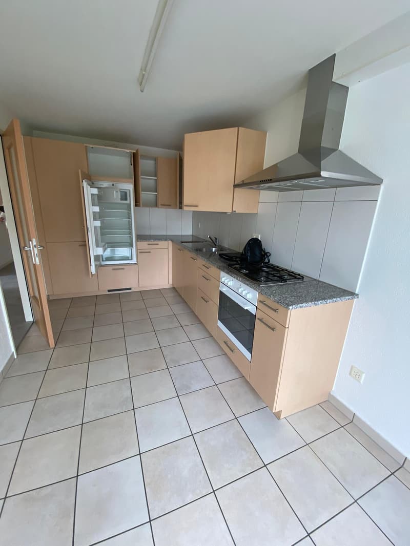 Beautiful and spacious 3-room apartment on the 4th floor (2)