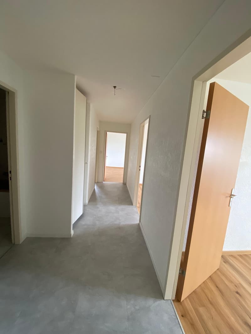 Beautiful and spacious 3-room apartment on the 4th floor (5)
