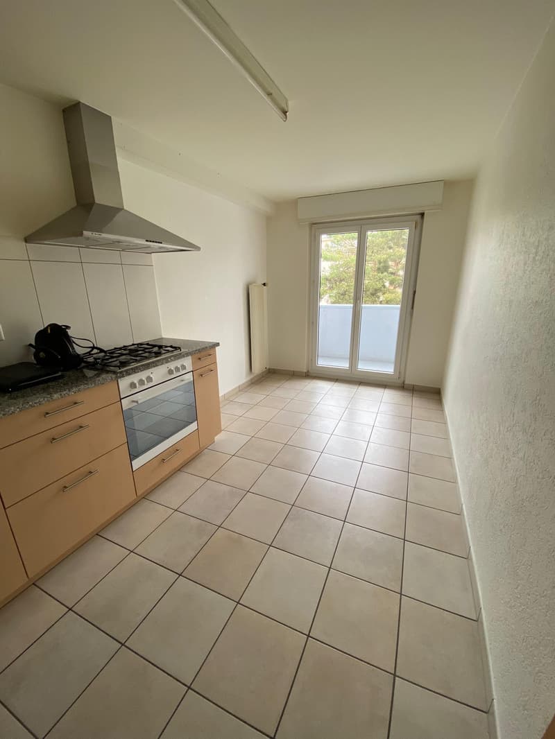 Beautiful and spacious 3-room apartment on the 4th floor (3)