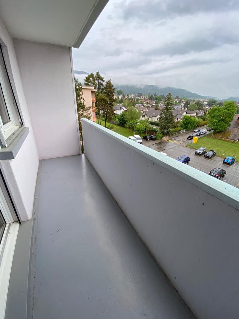 Beautiful and spacious 3-room apartment on the 4th floor (7)