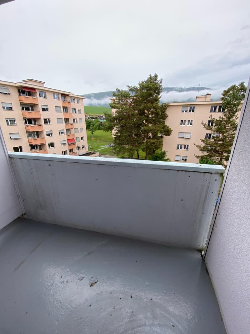 Beautiful and spacious 3-room apartment on the 4th floor (4)