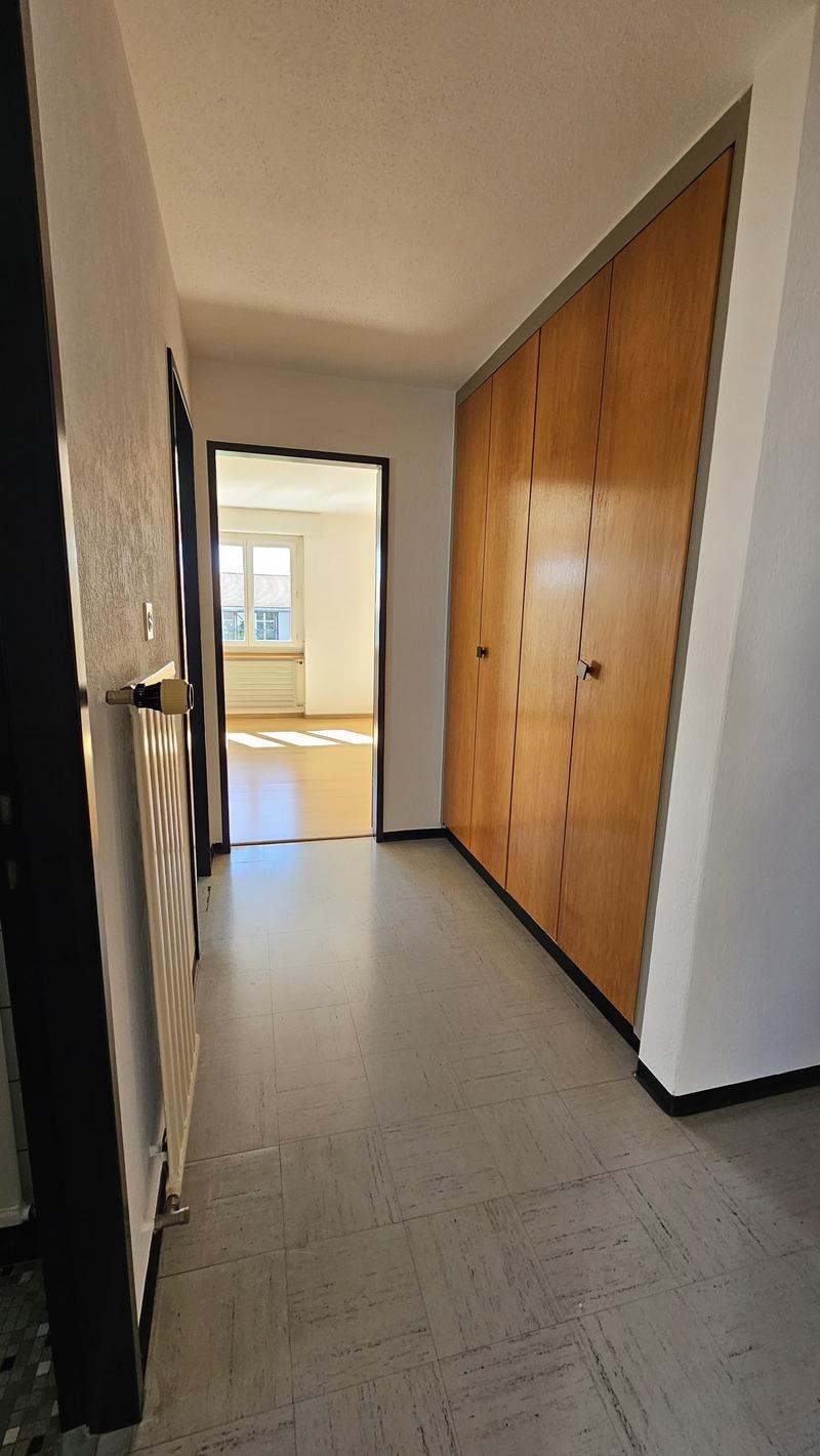 Schönes und geräumiges 3,5-Zimmer-Apartment im 2. Stock (9)