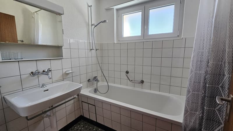 Schönes und geräumiges 3,5-Zimmer-Apartment im 2. Stock (7)