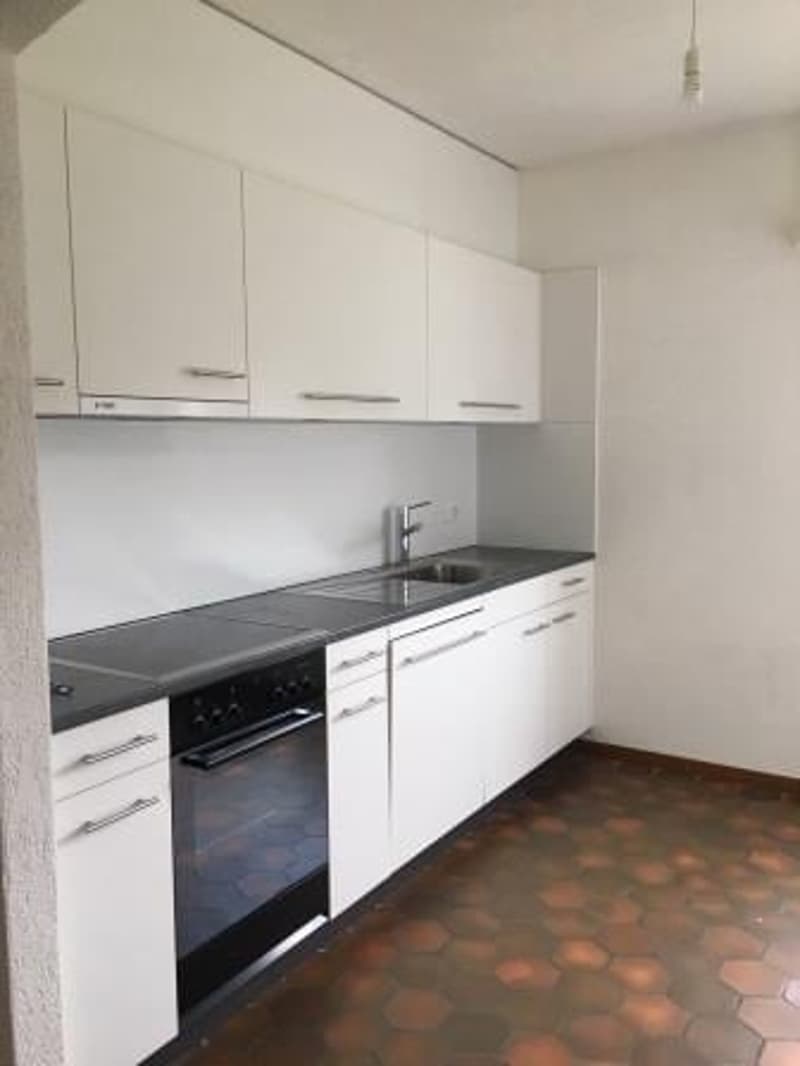 Beautiful 4.5-room apartment on the ground floor (1)