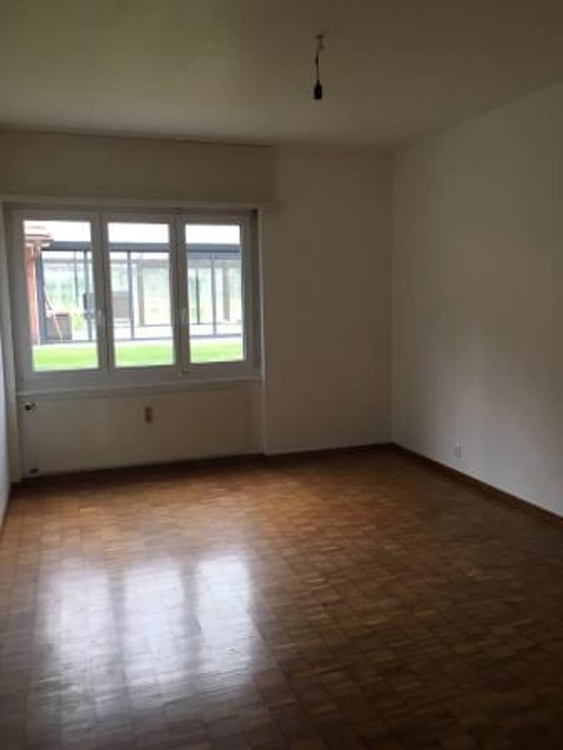 Beautiful 4.5-room apartment on the ground floor (5)