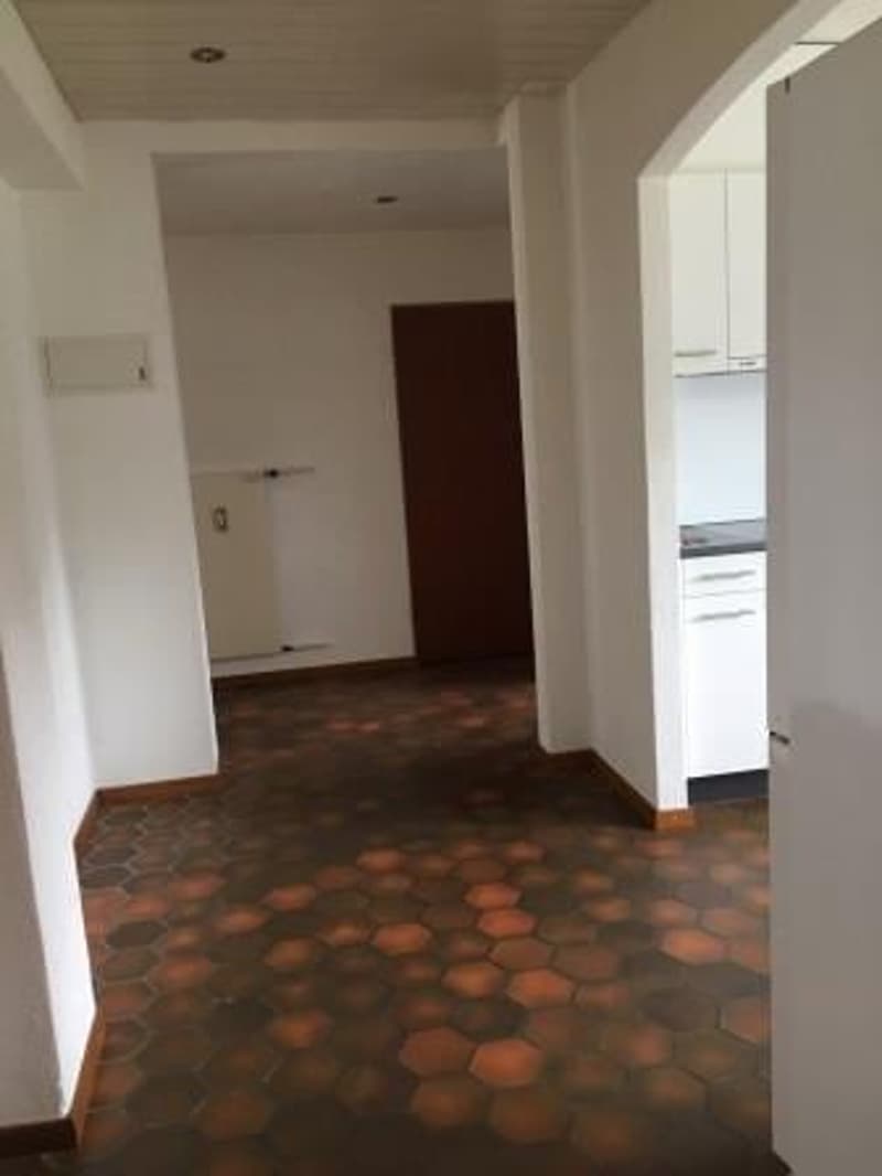 Beautiful 4.5-room apartment on the ground floor (7)
