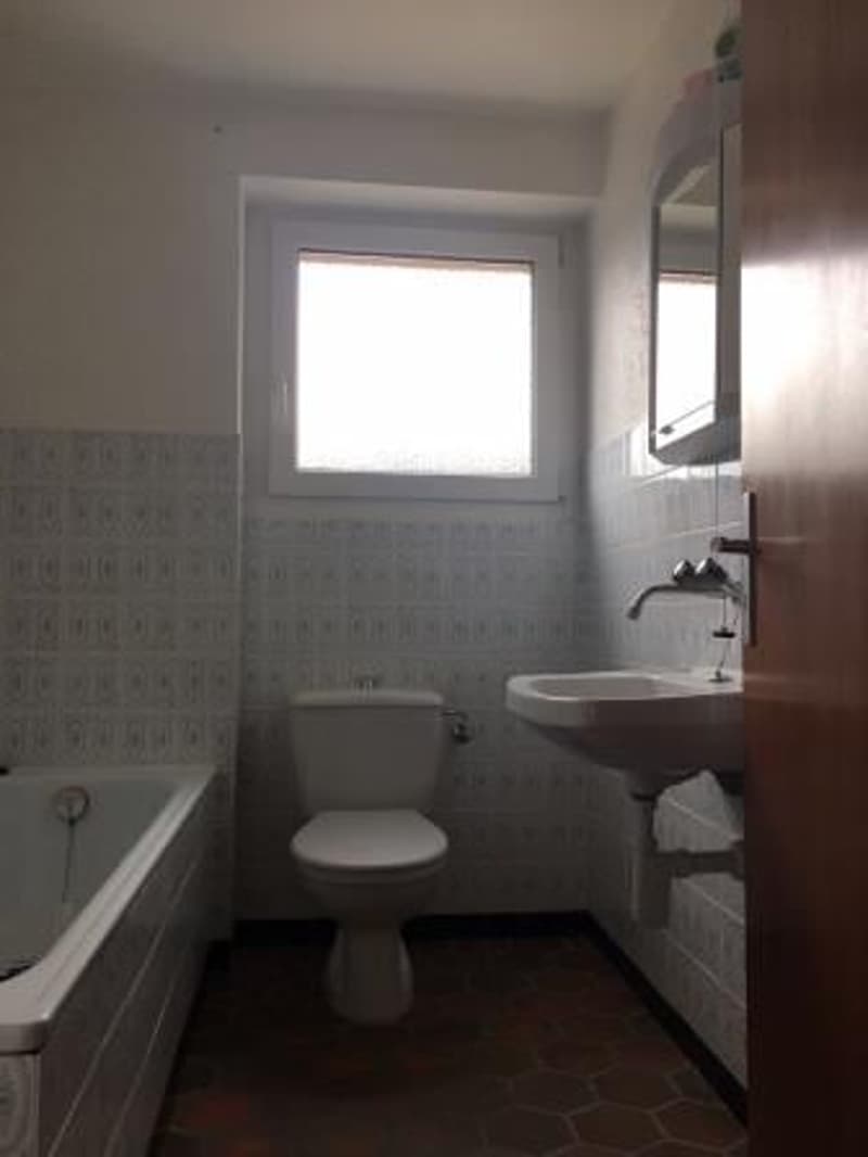 Beautiful 4.5-room apartment on the ground floor (8)
