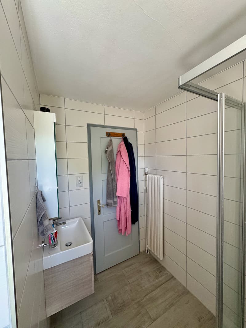 Sehr schönes 4-Zimmer-Apartment im 1. Stock (13)