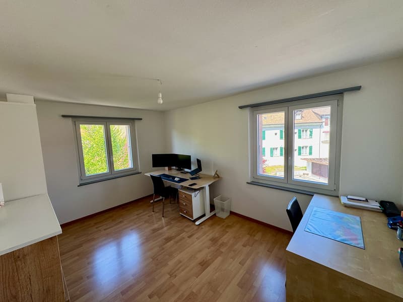 Sehr schönes 4-Zimmer-Apartment im 1. Stock (7)