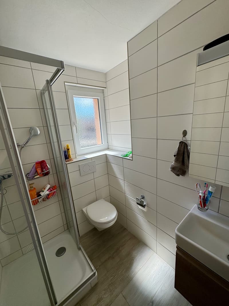 Sehr schönes 4-Zimmer-Apartment im 1. Stock (12)