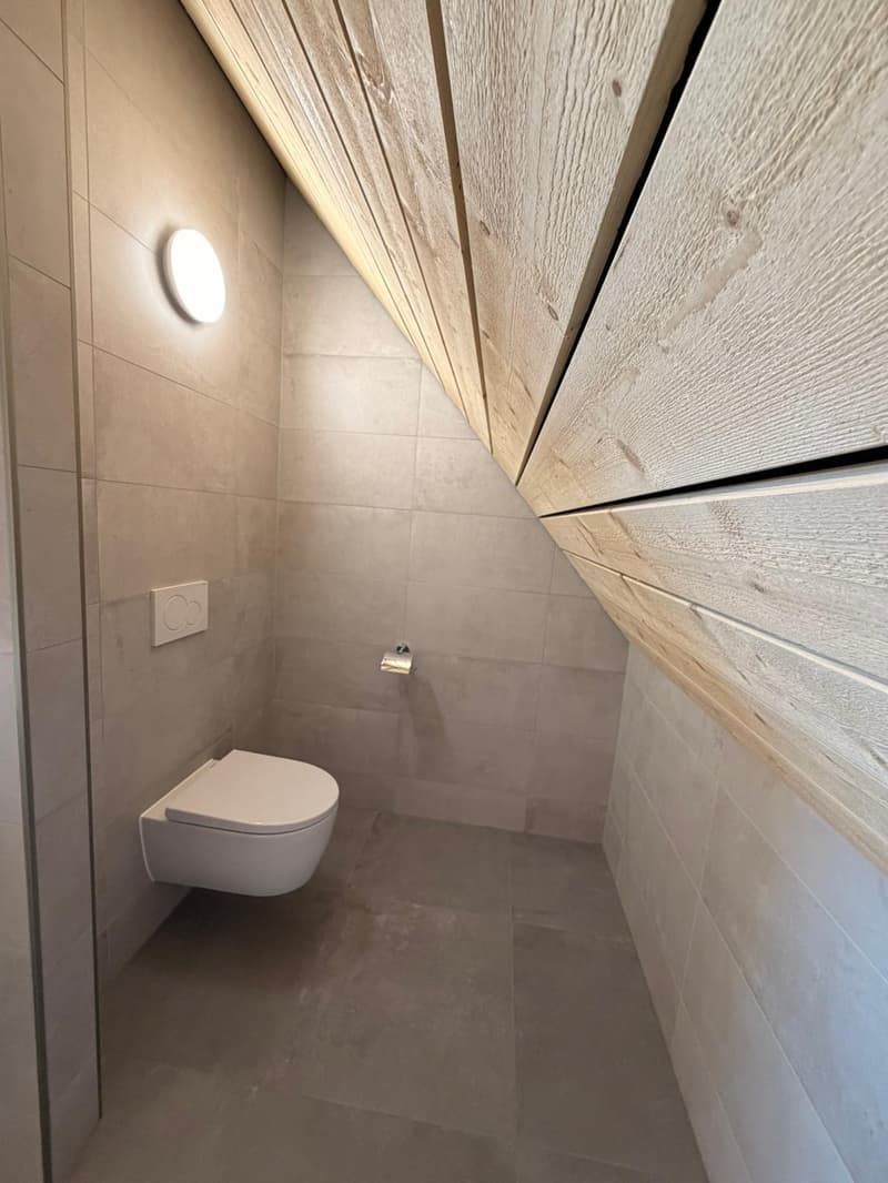 Magnifique appartement en duplex de 3.5 pièces au 2e étage (14)